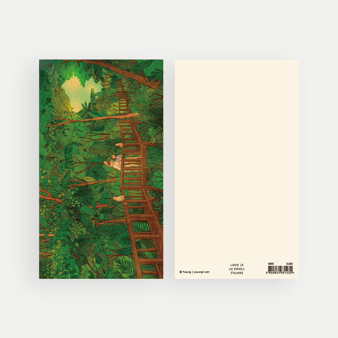 Postcard Pack: 64 Postcards