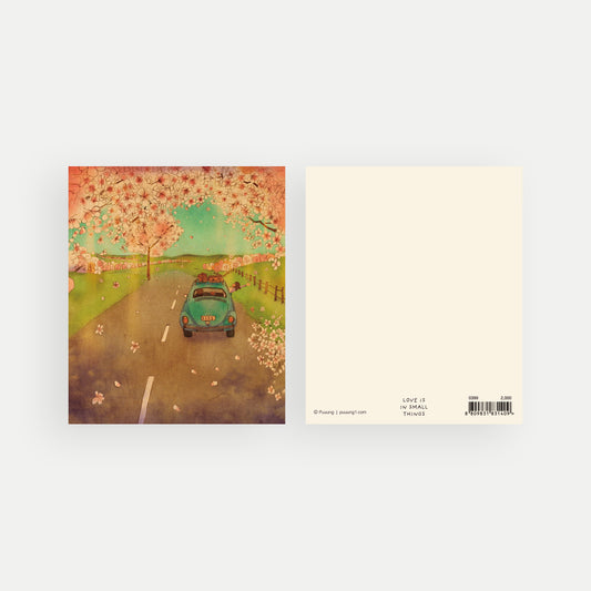 Cherry Blossom Drive - Postcard