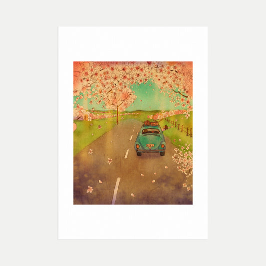 Cherry Blossom Drive - Art Print
