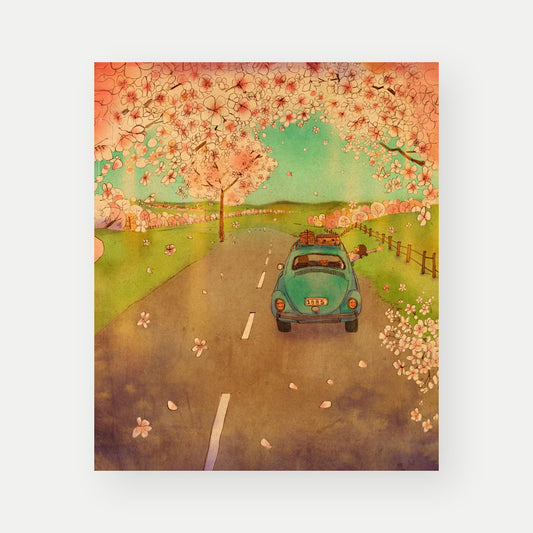 Cherry Blossom Drive - Postcard